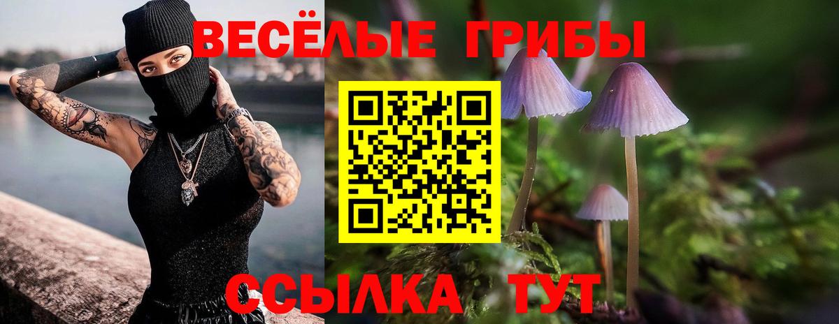 Псилоцибиновые грибы GOLDEN TEACHER Белая Калитва